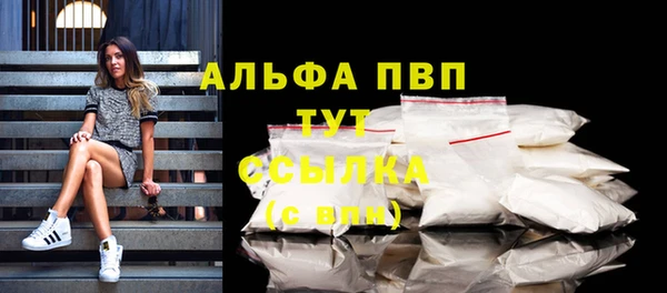 индика Киренск