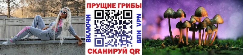 закладка  Козьмодемьянск  Галлюциногенные грибы прущие грибы 