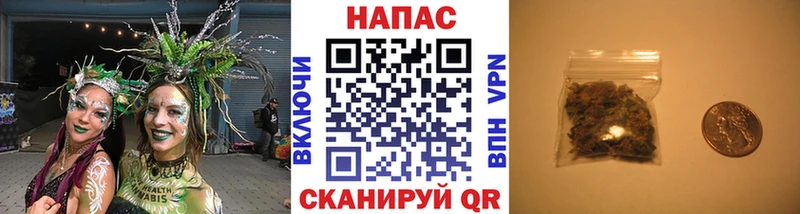 Канабис конопля  Козьмодемьянск 